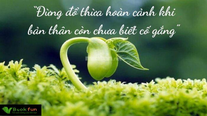 Tổng hợp các câu nói truyền cảm hứng giúp bạn sống tích cực hơn