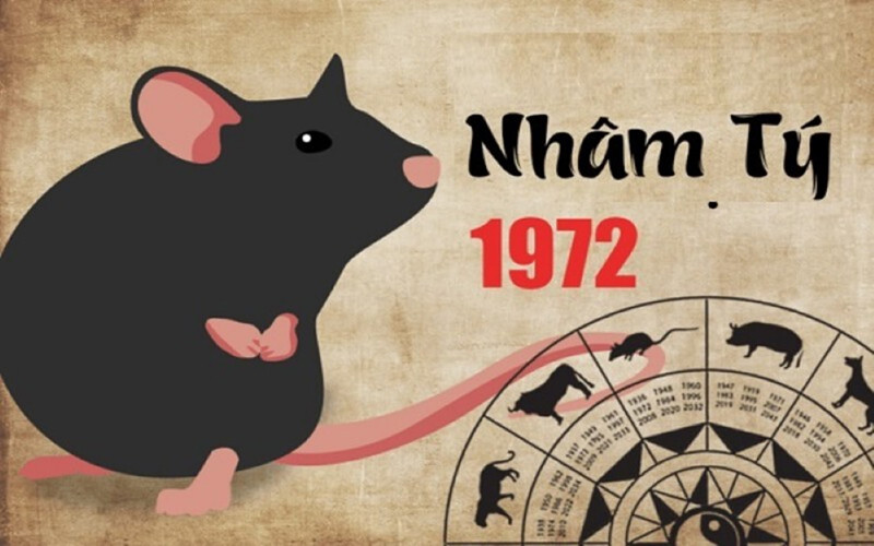 Năm 2025, Tuổi Nhâm Tý 1972 Có Nên Mua Nhà Không?