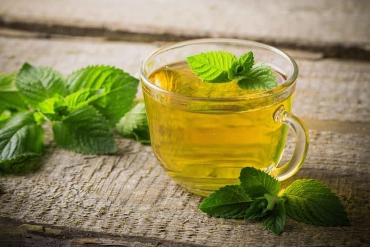 Trà hoa cúc giúp dễ ngủ
