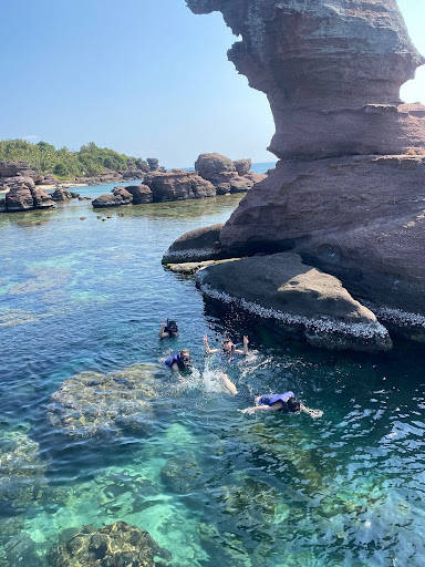 Trải nghiệm ngắm san hô