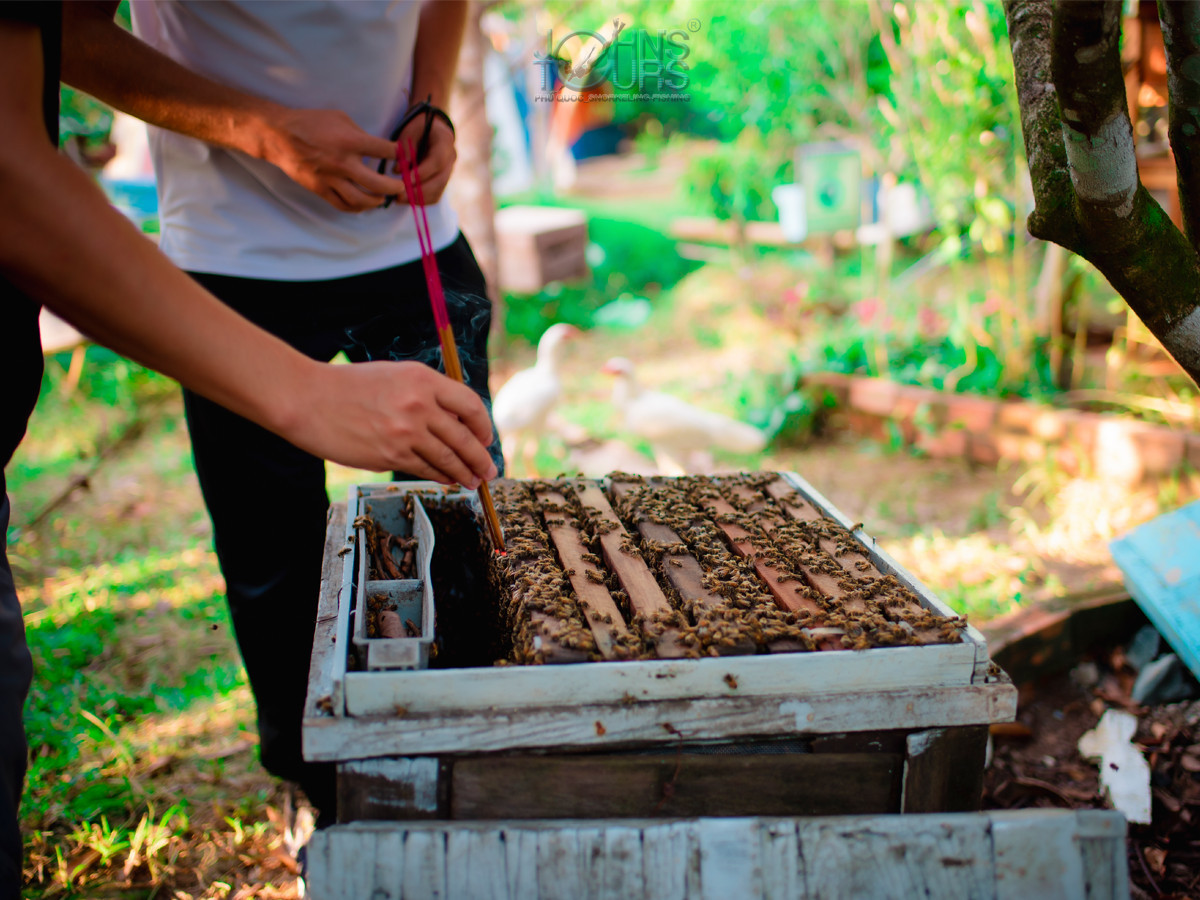 Trang trại mật ong Phú Quốc