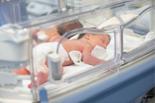 Bé sinh non bao giờ nên cho ăn dặm?