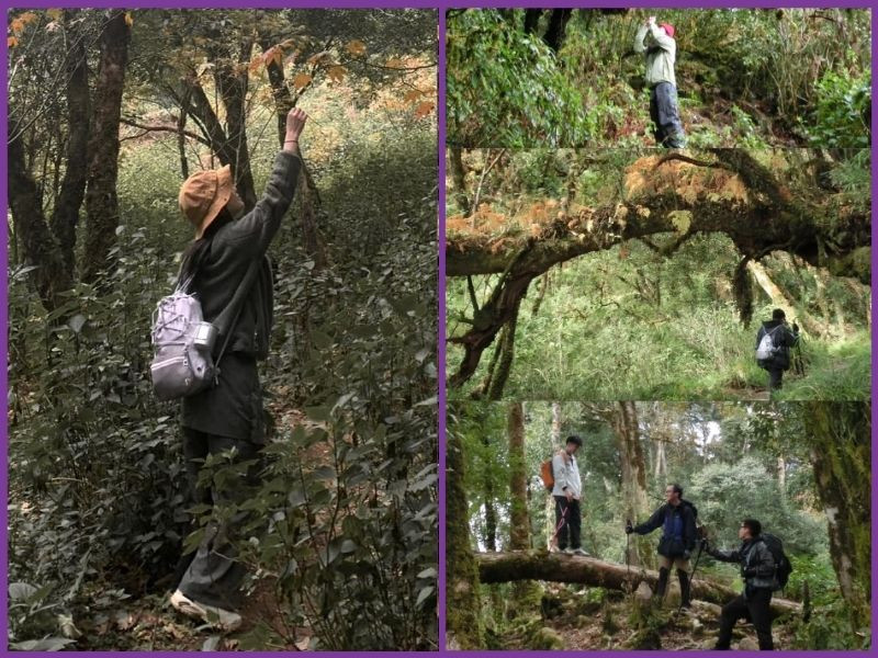 Đi trekking mặc gì? Checklist chọn trang phục trekking chuẩn nhất
