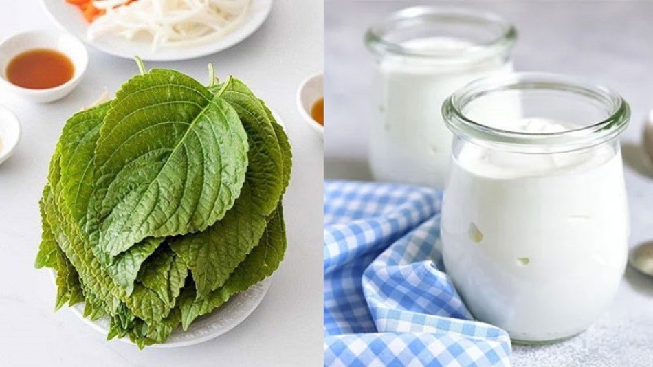 Trị nám bằng lá tía tô với sữa chua không đường