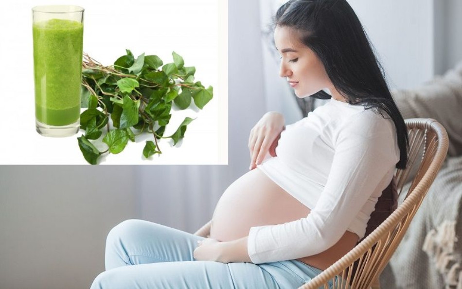 Trị nám da an toàn cho bà bầu bằng rau diếp cá