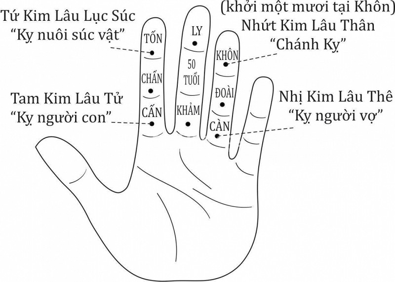 Tuổi 2002 có nên làm nhà năm 2025 không? Tìm hiểu phong thủy trước khi xây dựng