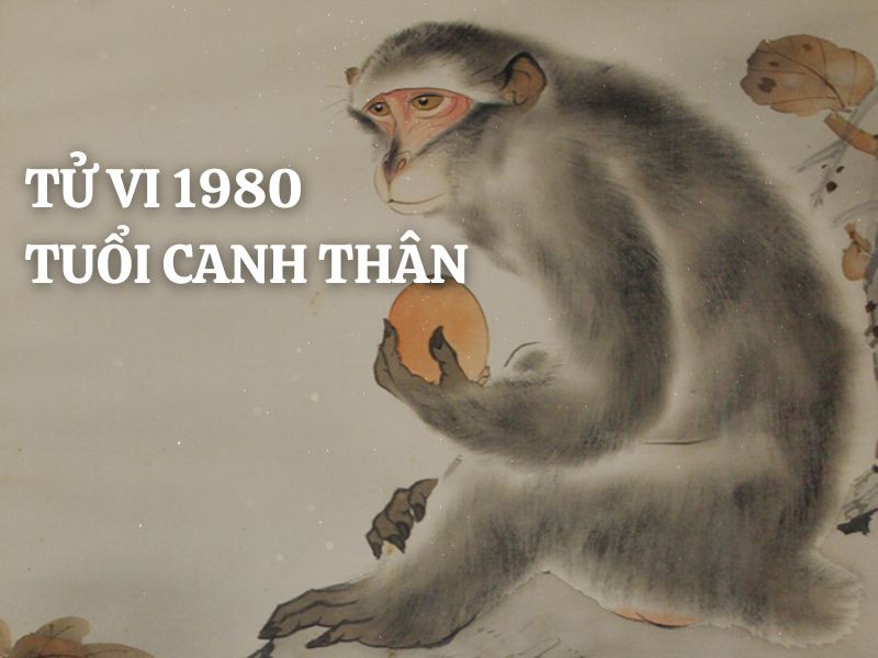 Tìm Hiểu Phong Thủy Tuổi Canh Thân 1980: Hợp Số Nào Đem Lại May Mắn?