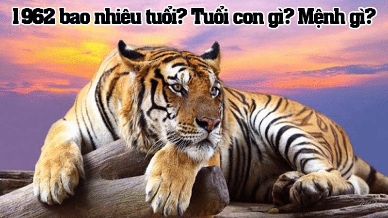 Sinh năm 1962 bao nhiêu tuổi năm 2025?