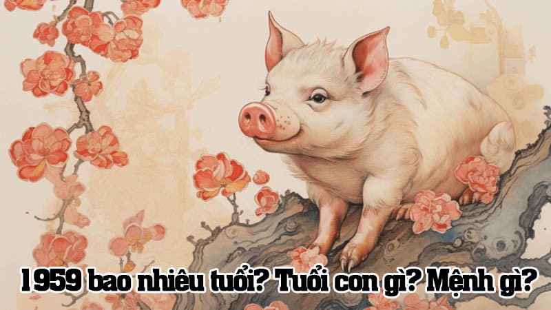 Sinh năm 1959 bao nhiêu tuổi? Thông tin phong thủy chi tiết
