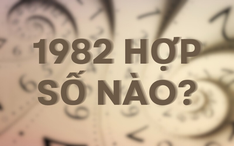 Tìm Hiểu Tuổi Nhâm Tuất 1982 Hợp Số Nào Để Tăng Cường May Mắn?