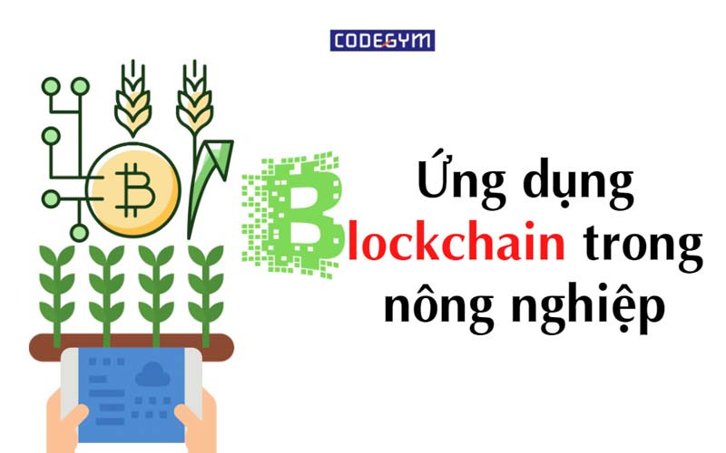 Ứng Dụng Blockchain Trong Logistics