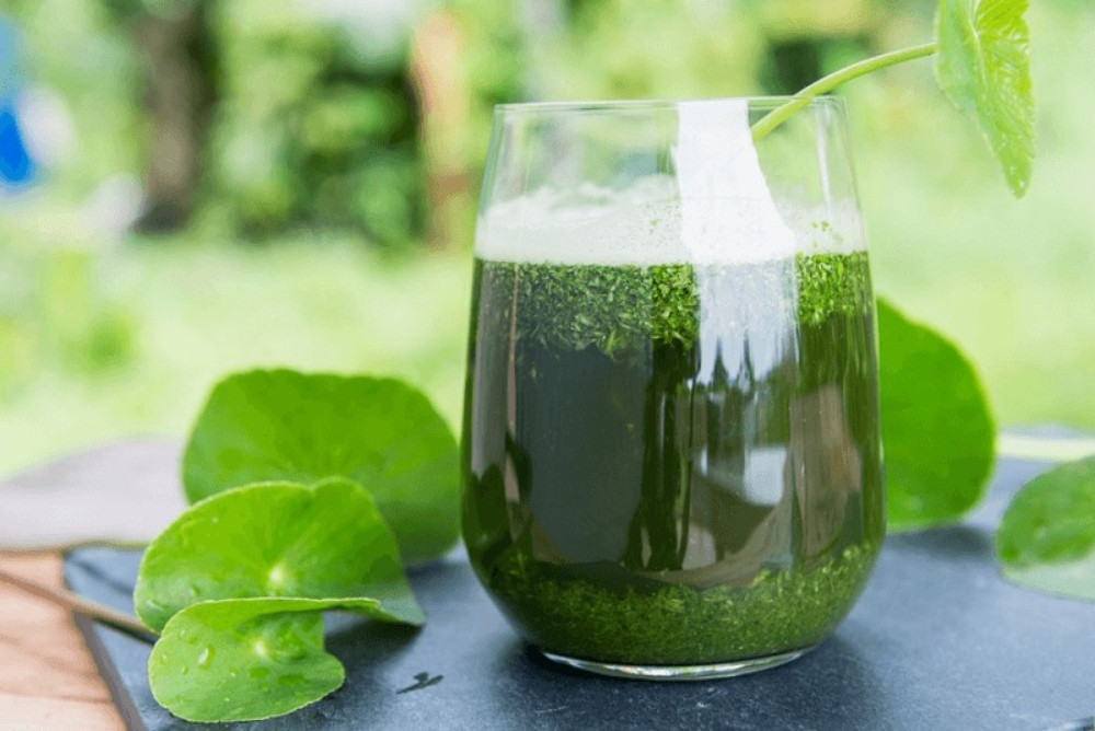 Uống nước ép rau má giúp giảm nguy cơ mụn trứng cá
