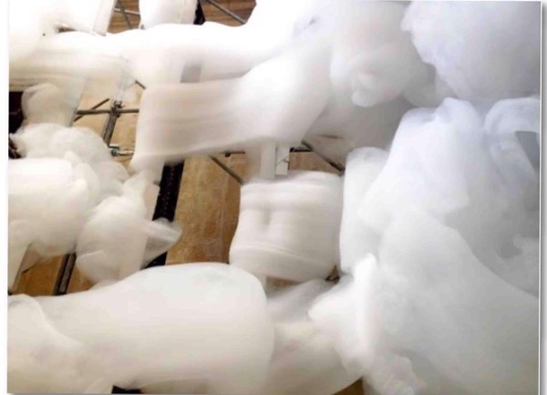 Ưu điểm của vải Cotton Mỹ