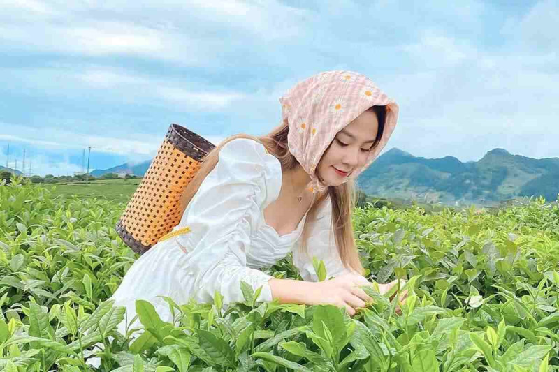 Váy trắng khăn bandana