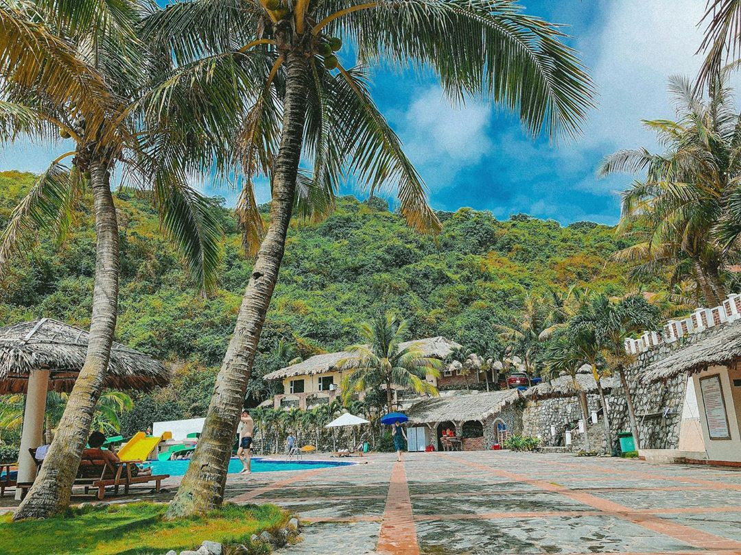 Vẻ Đẹp Của Dragon Ocean Đồ Sơn