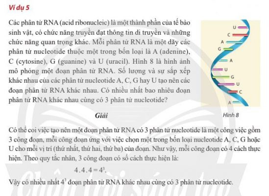 Ví dụ về quy tắc nhân