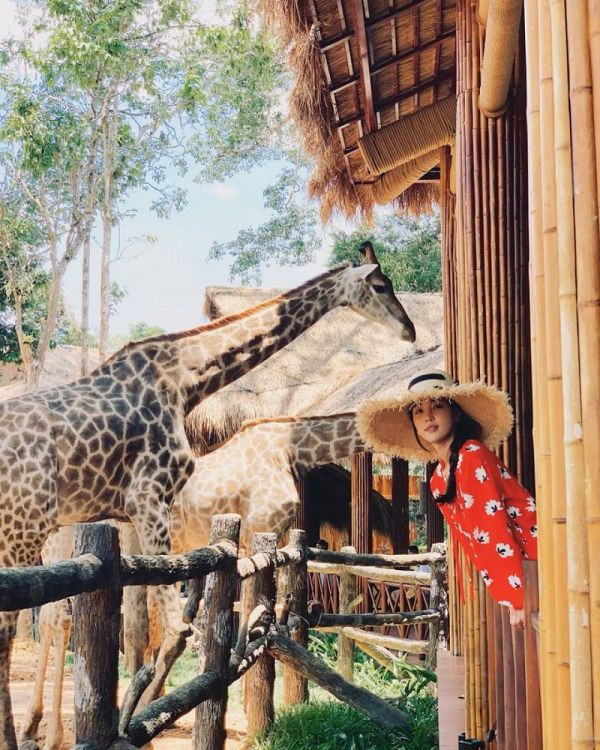 Vinpearl Safari Phú Quốc