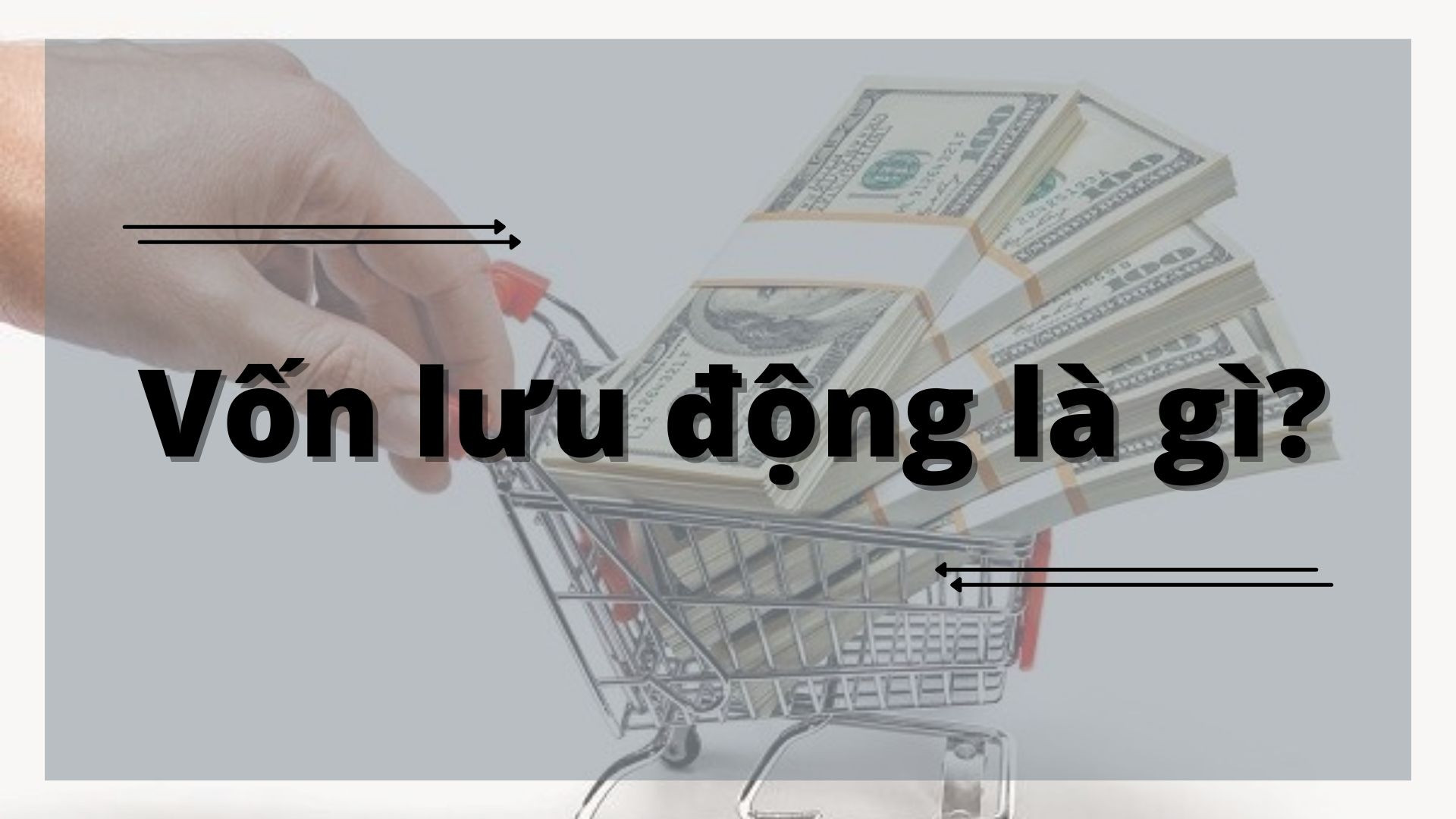 Vốn Lưu Động: Khám Phá Vai Trò Quan Trọng Trong Hoạt Động Doanh Nghiệp