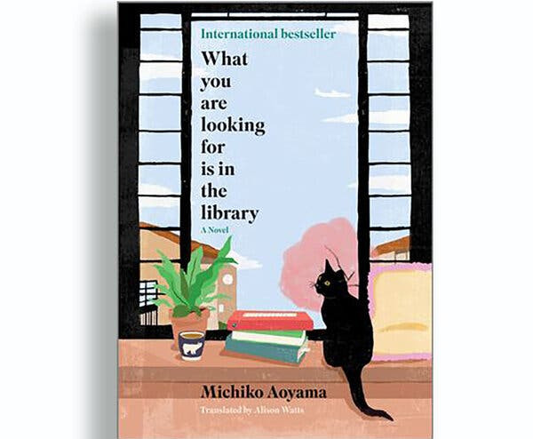 What you are looking for is in the library – Michiko Aoyama