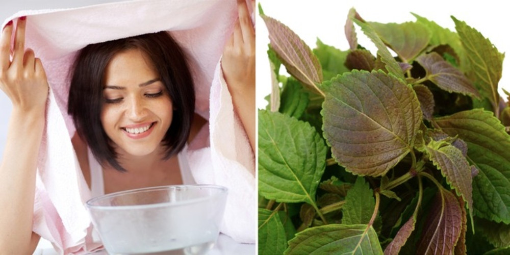 Xông mặt bằng nước lá tía tô
